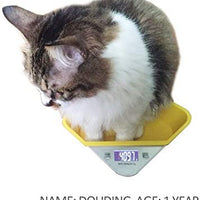 Báscula digital para mascotas y cocina para cachorros recién nacidos o gatitos con un tazón gratis - BESTMASCOTA.COM