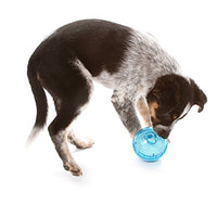 OurPets IQ Treat Ball Interactive Food Dispensing Dog Toy (Colors May Vary) - BESTMASCOTA.COM