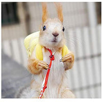 Yu-Xiang - Mochila de algodón con diseño de hámster para mascotas, para loro al aire libre, para pequeños animales - BESTMASCOTA.COM