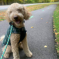 MIGOHI Dog Jackets for Winter Windproof Waterproof Reversible Dog Coat for Cold Weather British Style Plaid Warm Dog Vest for Small Medium Large Dogs - BESTMASCOTA.COM