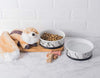 Bone Dry DII - Cuenco redondo de cerámica para comida y agua con borde de silicona antideslizante para perros y gatos - BESTMASCOTA.COM