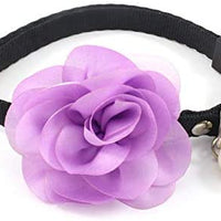 PetFavorites - Collar de corbata para mascotas, gato con colgante de campana, para mascotas, gatos - BESTMASCOTA.COM