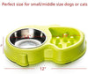 Ordermore Slow Feeder Bowl for Small Dogs & Cats - BESTMASCOTA.COM