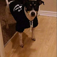 EXPAWLORER sudadera de forro polar para perro/gato con capucha, con estampa de calavera y frase. - BESTMASCOTA.COM