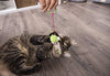 Petlinks Interactive Wand and Launcher Cat Toys - BESTMASCOTA.COM