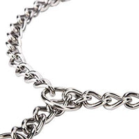 SGODA - Collar de entrenamiento para perros - BESTMASCOTA.COM