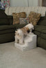 Productos Etna - BESTMASCOTA.COM
