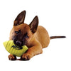 Juguete para perro Nerf de goma - BESTMASCOTA.COM