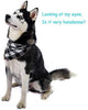 TRAVEL BUS Dog Bandana- 5pcs Washable Dog Bandanas Square Plaid Printing Dog Kerchief Set Scarf Accessories for Small to Large Dogs Cats Pets Reversible - BESTMASCOTA.COM