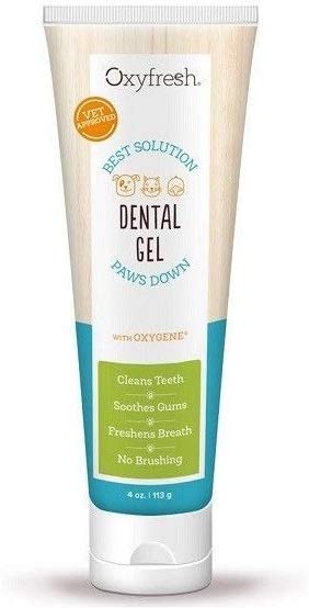 oxyfresh Pet con oxygene – Soothing, Gel de enfriamiento de gel para puntos calientes, Rash y prurito – Pasta de dientes para perros y gatos – Caja perfecta para Oral y uso externo – fabricado en los Estados Unidos - BESTMASCOTA.COM
