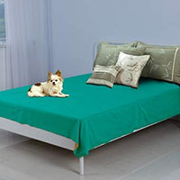 Silly Legacy - Funda protectora o forro reversible impermeable para cama o sofá, para perros y gatos, Queen o King - BESTMASCOTA.COM