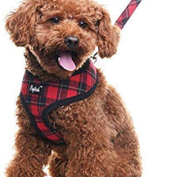 PUPTECK Arnés de malla suave para perro con correa – Chaleco de paseo acolchado a cuadros ajustable para cachorro sin arneses – Chaleco para mascotas - BESTMASCOTA.COM