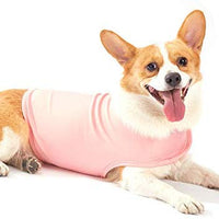 Furubaby Ansiety - Abrigo para perro con camisa, para perros pequeños, medianos, grandes, XL, color sólido, azul, gris, verde, rosa, rosa (rosa) - BESTMASCOTA.COM