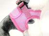 Arnés para perros de malla suave, cómodo para razas pequeñas, cachorros, juguetes, de 2 a 16 lb, en color rosa bebé, azul, negro, rojo, camuflado en tamaño pequeño, mediano, grande y extra grande - BESTMASCOTA.COM