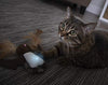 Petlinks Electronic Light Cat Toy - BESTMASCOTA.COM