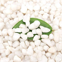 [18 Pounds] White Pebbles Aquarium Gravel River Rock,Natural Polished Decorative Gravel,Garden Ornamental Pebbles Rocks,White Stones,Polished Gravel for Landscaping Vase Fillers White Mini (White) - BESTMASCOTA.COM