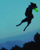 Nite Ize Flashflight, Discuit Disco de perro - Frisbee de disco volador con luz LED - Nuevo - BESTMASCOTA.COM