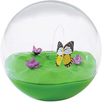 Petmate Butterfly - BESTMASCOTA.COM