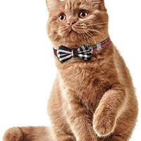 CHUKCHI Cat Collar Breakaway with Cute Bow Tie and Bell for Kitty and Some Puppies (red+Black) (red+Black) - BESTMASCOTA.COM