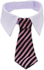 Ajustable de sarga algodón Tie Fit for Gatos por el kailian - BESTMASCOTA.COM