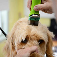 Wahl 3379 - Juego de peines de acero inoxidable con guía de fijación para cortadores de caballos y perros de Wahl Bravura, Arco, Chromado, Figura, y Motion Pet, Dog, Cat - BESTMASCOTA.COM