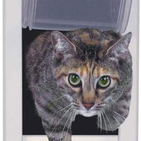 Perfect Pet Soft Flap Cat Door with Telescoping Frame - BESTMASCOTA.COM