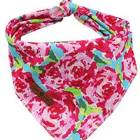 Lionet Paws Bandana para perro pequeño, mediano y grande, pañuelo para perro o gato - BESTMASCOTA.COM
