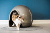 Petmate Booda Dome Clean Step Cat Litter Box 3 Colors - BESTMASCOTA.COM