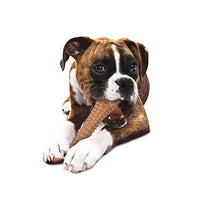 Nylabone Dura Chew Textured Dog Chew, X-Large - BESTMASCOTA.COM