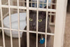 Iris multinivel Cat Condo/jaula - BESTMASCOTA.COM