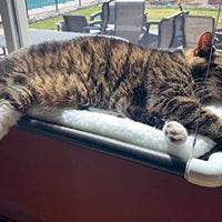 Kitty Cot Original World's Best Cat Perch - BESTMASCOTA.COM