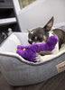 goDog Just for Me Bruto with Chew Guard Technology Plush Dog Toy, Purple - BESTMASCOTA.COM