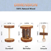 JEMPET - Juguetes para masticar hámsteres, gérmenes de madera natural, ratas, chinchillas, juguetes, accesorios, mancuernas, mancuernas, mancuernas, rodillo, cuidado de dientes, juguete molar para conejos de cobaya, conejos - BESTMASCOTA.COM