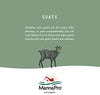 Manna Pro Bounce Back Multiespecies Suplemento electrolito - BESTMASCOTA.COM