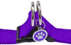 Arnés ajustable Pupteck para perro, medida básica de cachorro, de nailon, chaleco para pasear en exteriores con etiqueta de identificación - BESTMASCOTA.COM