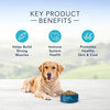 Blue Buffalo Life Protection Formula Natural Adult Dry Dog Food - BESTMASCOTA.COM