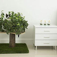 On2Pets Cat Condo Muebles - BESTMASCOTA.COM