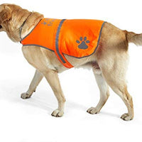 Chaleco reflectante de seguridad para perros, 5 tamaños para adaptarse a perros de 10 libras – 130 libras: alta visibilidad para actividades al aire libre día y noche, mantiene a tu perro visible, seguro de coches y accidentes de caza | Blaze Orange chale - BESTMASCOTA.COM