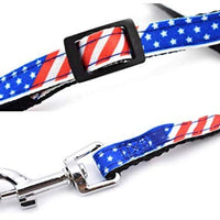 Fancy Finca collares para gatos y mascotas, correas ajustables, para cachorros, caminar, entrenamiento, correr, senderismo, 2 juegos - BESTMASCOTA.COM