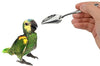 Lilys Pet 4.7" Bird Parrot metal Cuchara, Cuchara Medicina especial de alimentación cucharas de acero inoxidable Alimentación cucharas de mano para Peony Cockatiel Parrot - BESTMASCOTA.COM