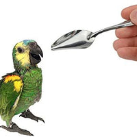 Lilys Pet 4.7" Bird Parrot metal Cuchara, Cuchara Medicina especial de alimentación cucharas de acero inoxidable Alimentación cucharas de mano para Peony Cockatiel Parrot - BESTMASCOTA.COM