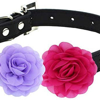 Collares de flores para mascotas, accesorios para gatos, - BESTMASCOTA.COM