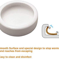 Cuenco de agua para alimentos reptiles – 2 platos de gusano lagarto Gecko cerámico para mascotas, cuencos de gusanos de comida, para camaleón barbudo, cangrejo ermitaño, Dubia, roca, reptil, críquet antiescape, mini alimentador de reptiles - BESTMASCOTA.COM