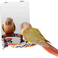 Colorday - Espejo de acero inoxidable para pájaros con percha de cuerda, columpio para pájaros, perca cómoda para canarios grises, amazones, periquitos, cacatúas, conuras, pájaros pinzones. - BESTMASCOTA.COM