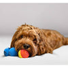 Pet Qwerks Talking - Pelota para perro - BESTMASCOTA.COM