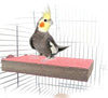 Colorido soporte para perca de pájaro, plataforma de madera natural para parque de recreo, molienda de patas, limpieza para mascotas, loros, parakeet, cacatías, conure Lovebirds - BESTMASCOTA.COM