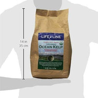 Life Line Pet Nutrition Organic Ocean Kelp Supplement for Skin & Coat, Digestion, Teeth & Gums in Dogs & Cats, 8-Ounce - BESTMASCOTA.COM