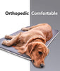 QIAOQI - Cama para perro, alfombrilla para perrera, cama ortopédica, lavable, antideslizante, con almohadilla de espuma viscoelástica densa - BESTMASCOTA.COM