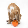 OurPets IQ Treat Ball Interactive Food Dispensing Dog Toy (Colors May Vary) - BESTMASCOTA.COM