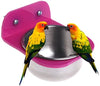 hypeety pájaros alimentador tazón espejo juguete para masticar taza de acero inoxidable juguete de inteligencia para pequeños loros Guacamayo africanas, grises, cacatúas, Conure jaula de pie Swing percha de ropa - BESTMASCOTA.COM